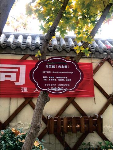 品质物业 魅力典范2.jpg